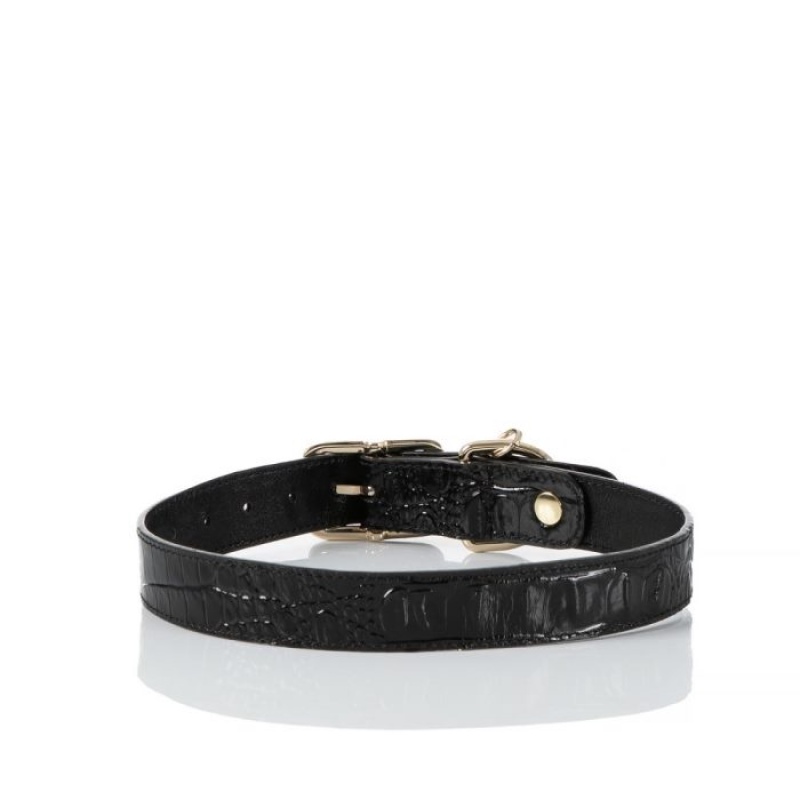 Women's Brahmin Large Pet Collar Pet Accessories Black | XFVJ7454