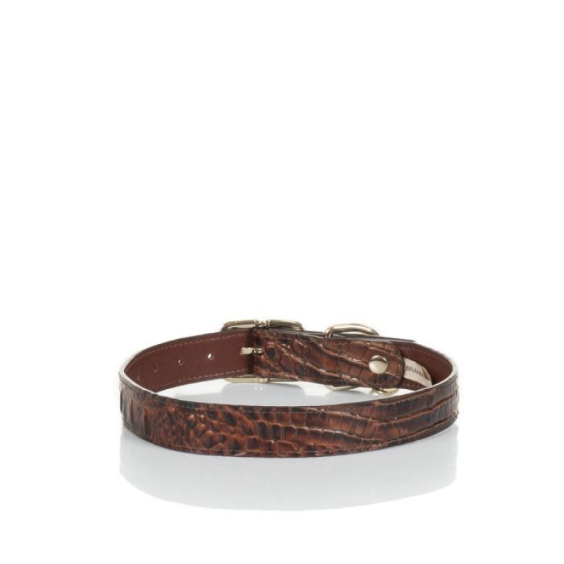 Women's Brahmin Large Pet Collar Pet Accessories Pecan Melbourne | MAFM3162