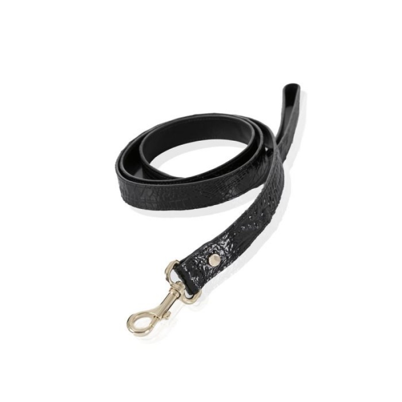 Women's Brahmin Large Pet Leash Pet Accessories Black | HWQC4496