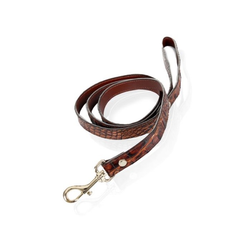 Women's Brahmin Large Pet Leash Pet Accessories Pecan Melbourne | ADBY0461