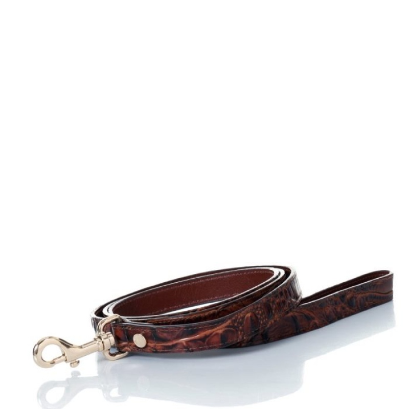 Women\'s Brahmin Large Pet Leash Pet Accessories Pecan Melbourne | ADBY0461