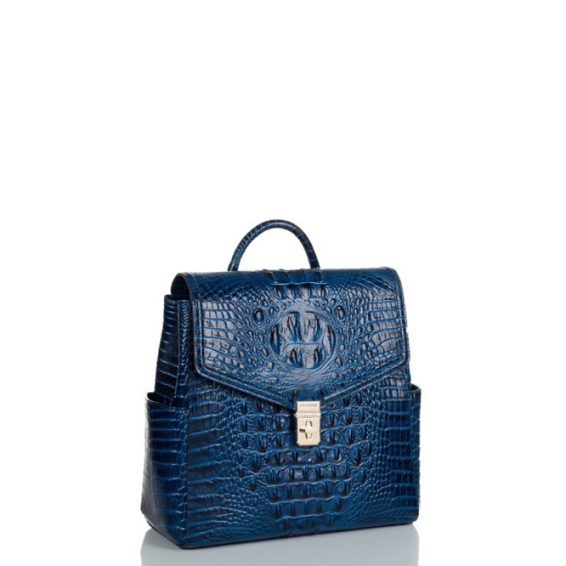 Women's Brahmin Liz Backpacks Blue | DHHD3410