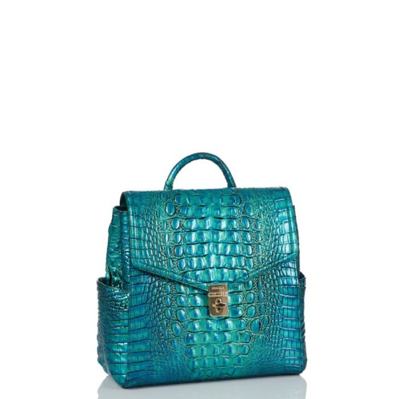 Women's Brahmin Liz Backpacks Peacock | ANJO2157