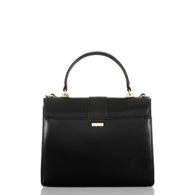 Women's Brahmin Luxe Mini Francine Satchel Bags Black | BGTD9063