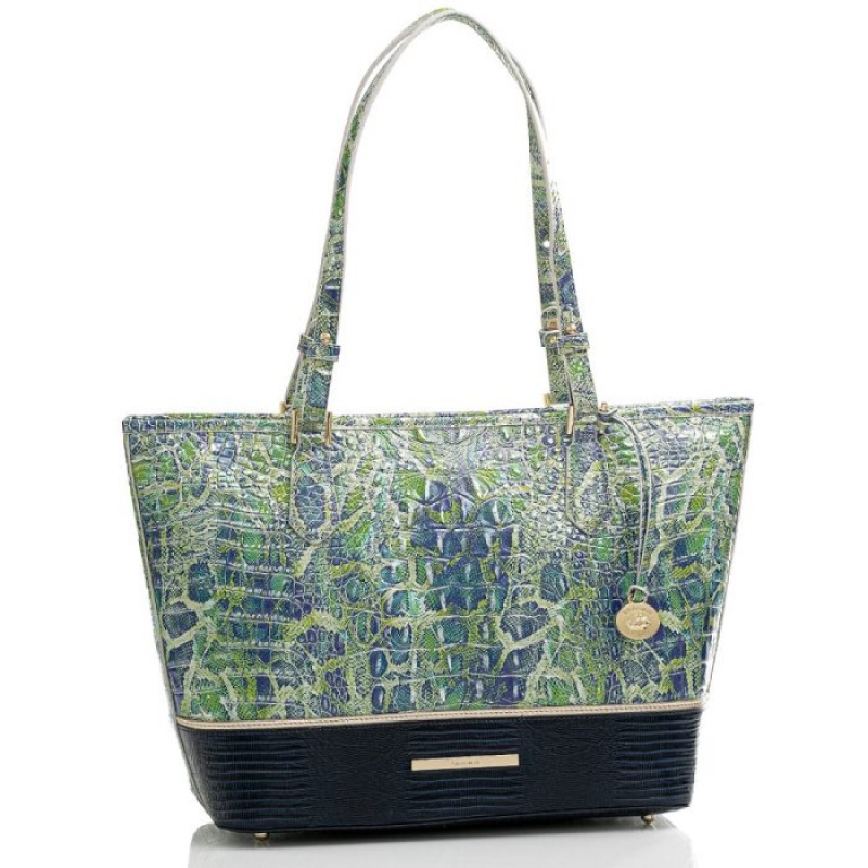 Women's Brahmin Medium Asher Tote Bags Melbourne | MYNM2093