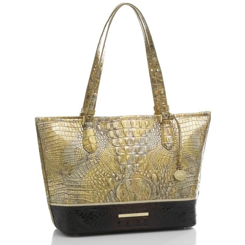 Women's Brahmin Medium Asher Tote Bags Melbourne | LOTT4565