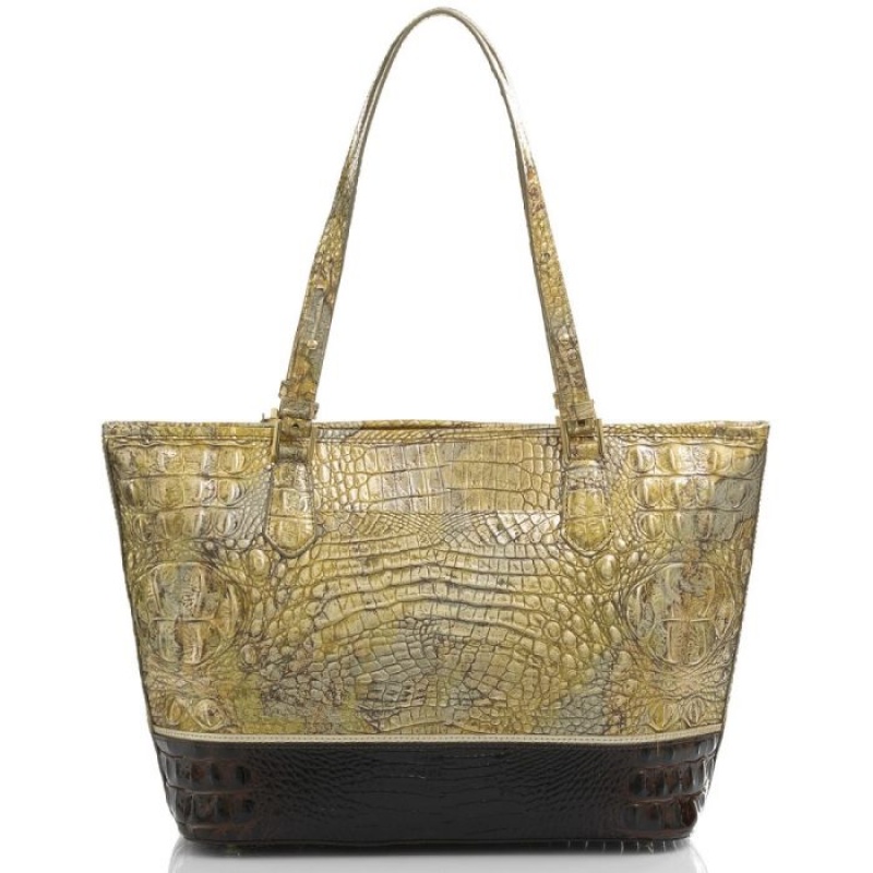 Women's Brahmin Medium Asher Tote Bags Melbourne | LOTT4565