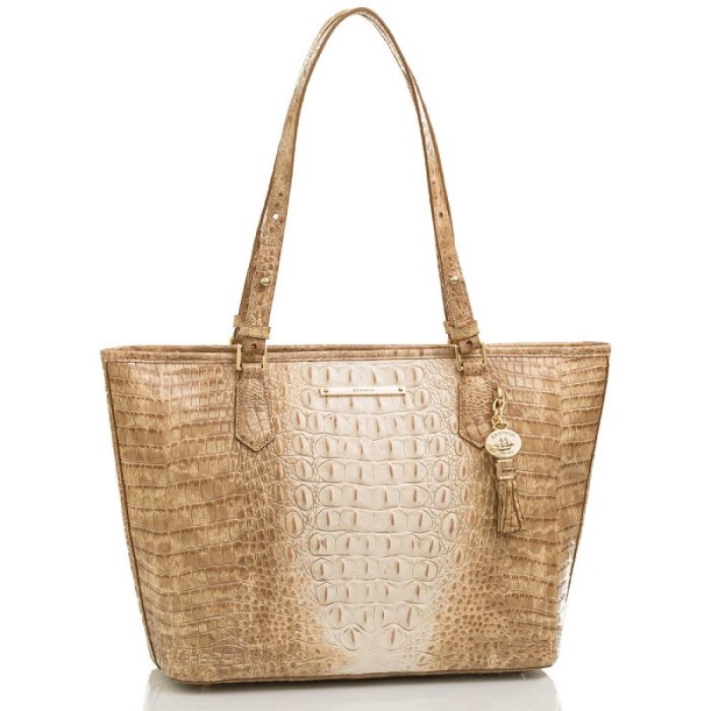 Women's Brahmin Medium Asher Tote Bags Praline Ombre Melbourne | FJVE0711