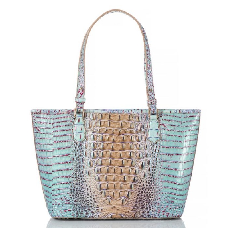 Women's Brahmin Medium Asher Tote Bags Seltzer Ombre Melbourne | CWBQ7696