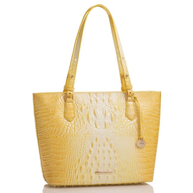 Women's Brahmin Medium Misha Tote Bags Melbourne | MZJZ7067