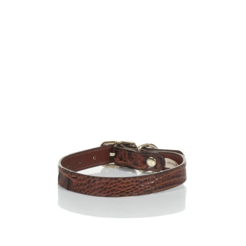 Women's Brahmin Medium Pet Collar Pet Accessories Pecan Melbourne | ETGS3973