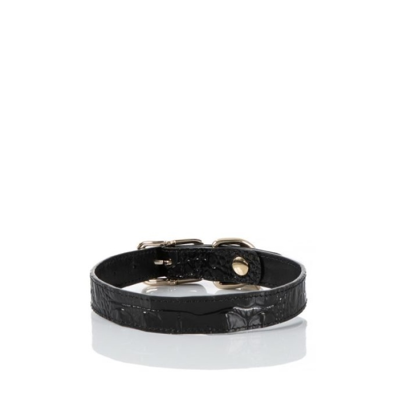 Women's Brahmin Medium Pet Collar Pet Accessories Black | UQEM8270