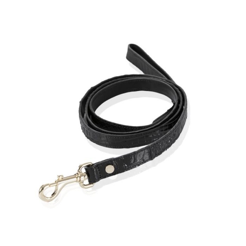 Women's Brahmin Medium Pet Leash Pet Accessories Black | VTEK3402