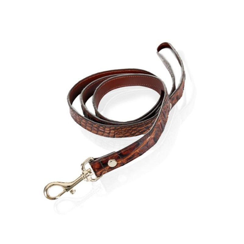 Women's Brahmin Medium Pet Leash Pet Accessories Pecan Melbourne | UVKW5601