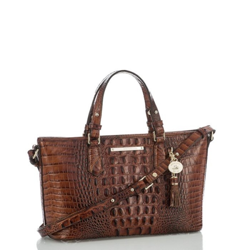 Women's Brahmin Mini Asher Satchel Bags Pecan Melbourne | TSGP1974