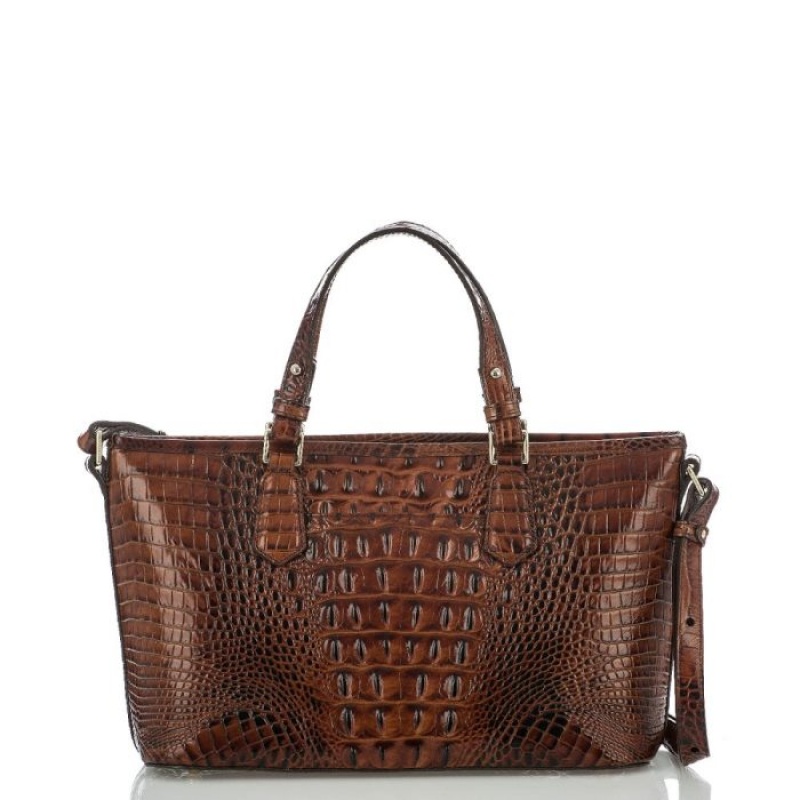 Women's Brahmin Mini Asher Satchel Bags Pecan Melbourne | TSGP1974