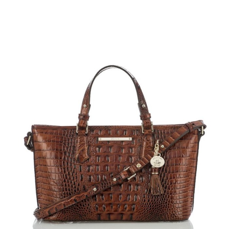 Women\'s Brahmin Mini Asher Satchel Bags Pecan Melbourne | TSGP1974