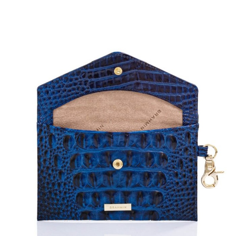 Women's Brahmin Mini Envelope Case Travel Accessories Blue | UDRY6291