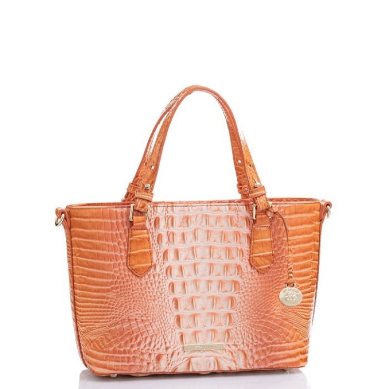 Women's Brahmin Mini Misha Satchel Bags Sherbert Ombre Melbourne | HWHI2769