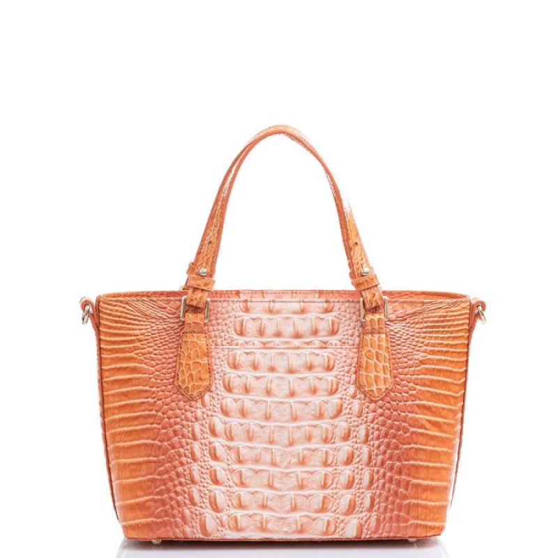 Women's Brahmin Mini Misha Satchel Bags Sherbert Ombre Melbourne | HWHI2769