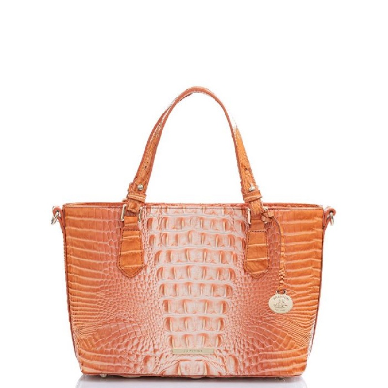 Women\'s Brahmin Mini Misha Satchel Bags Sherbert Ombre Melbourne | HWHI2769