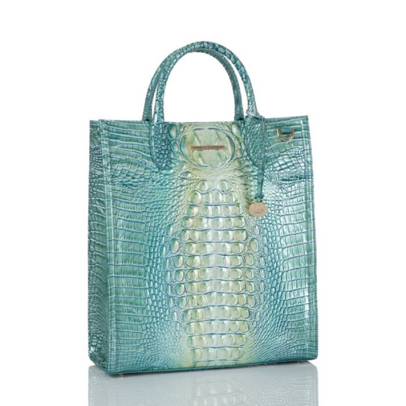 Women's Brahmin Monique Tote Bags Seafoam Ombre Melbourne | KMZA1344