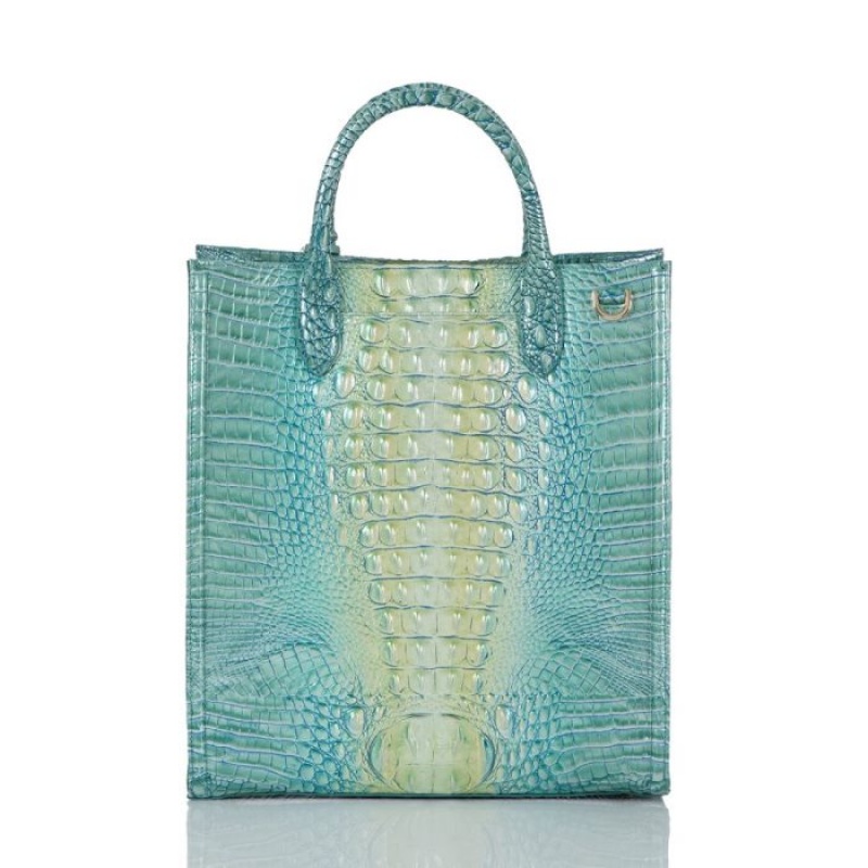 Women's Brahmin Monique Tote Bags Seafoam Ombre Melbourne | KMZA1344