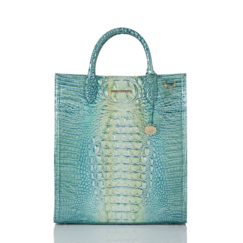 Women\'s Brahmin Monique Tote Bags Seafoam Ombre Melbourne | KMZA1344