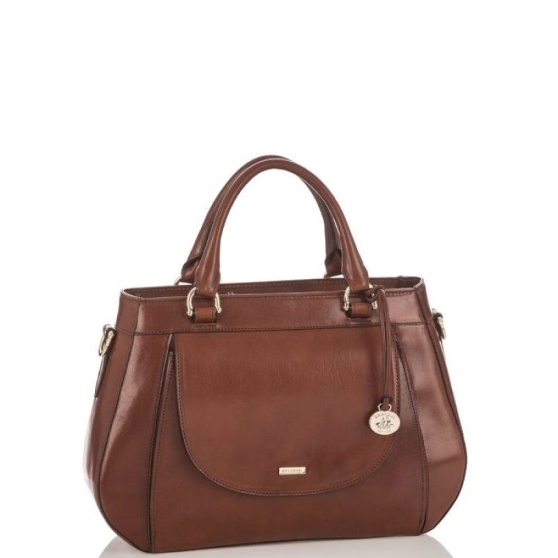 Women's Brahmin Raelynn Satchel Bags Brown | FBPV9365