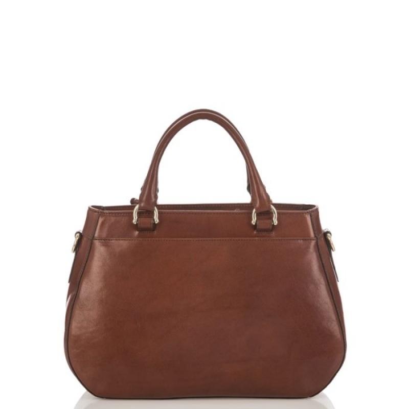 Women's Brahmin Raelynn Satchel Bags Brown | FBPV9365