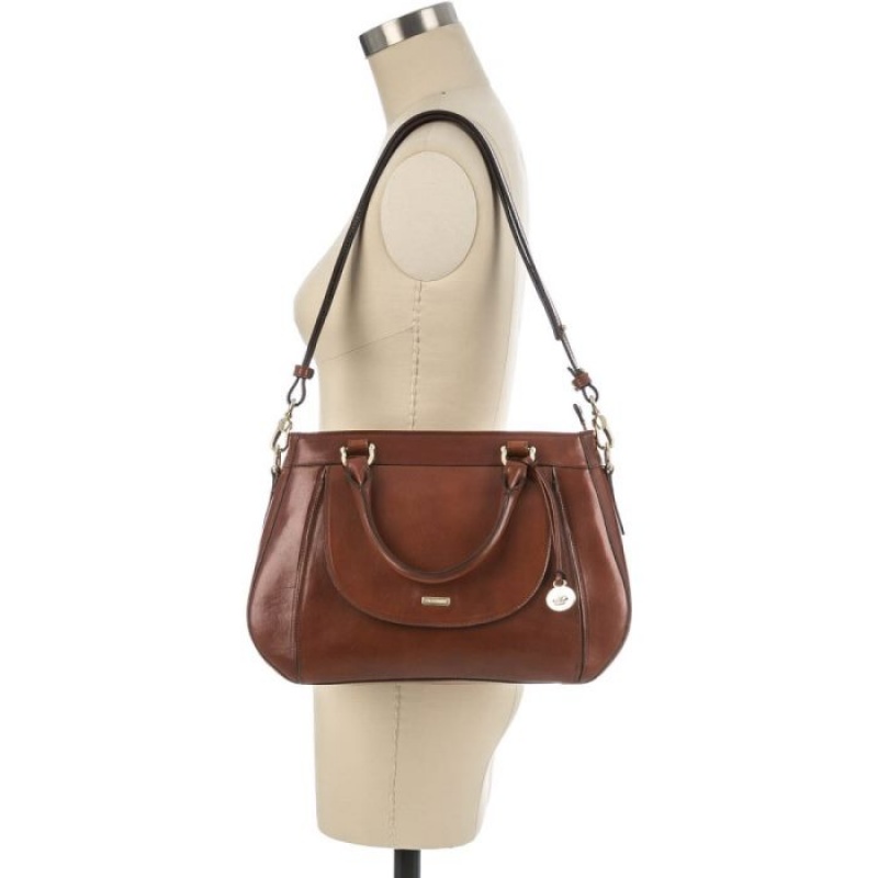 Women's Brahmin Raelynn Satchel Bags Brown | FBPV9365