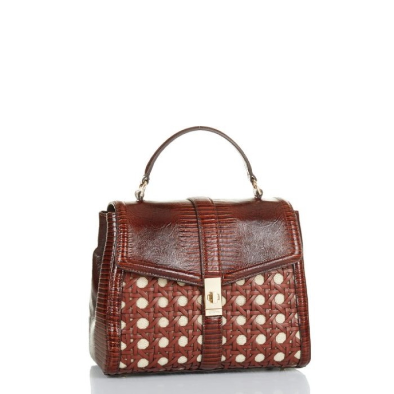 Women's Brahmin Rene Satchel Bags Brown | VWNZ1637