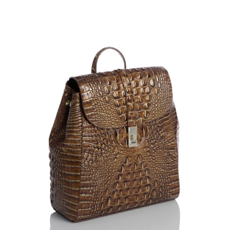 Women's Brahmin Sadie Backpacks Teak Ombre Melbourne | ETHH6364