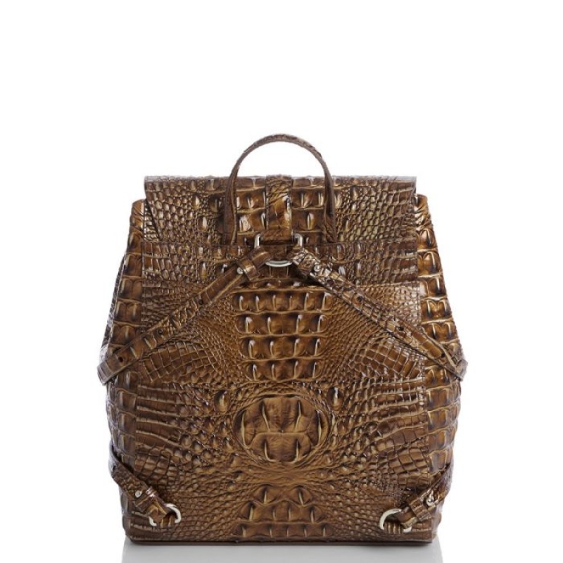 Women's Brahmin Sadie Backpacks Teak Ombre Melbourne | ETHH6364