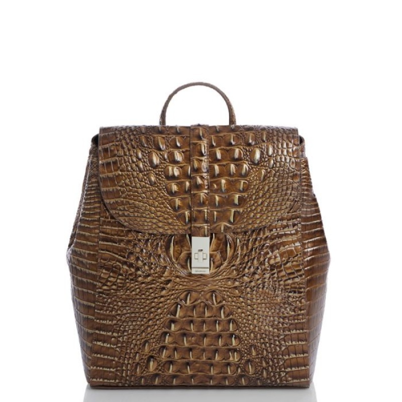 Women\'s Brahmin Sadie Backpacks Teak Ombre Melbourne | ETHH6364