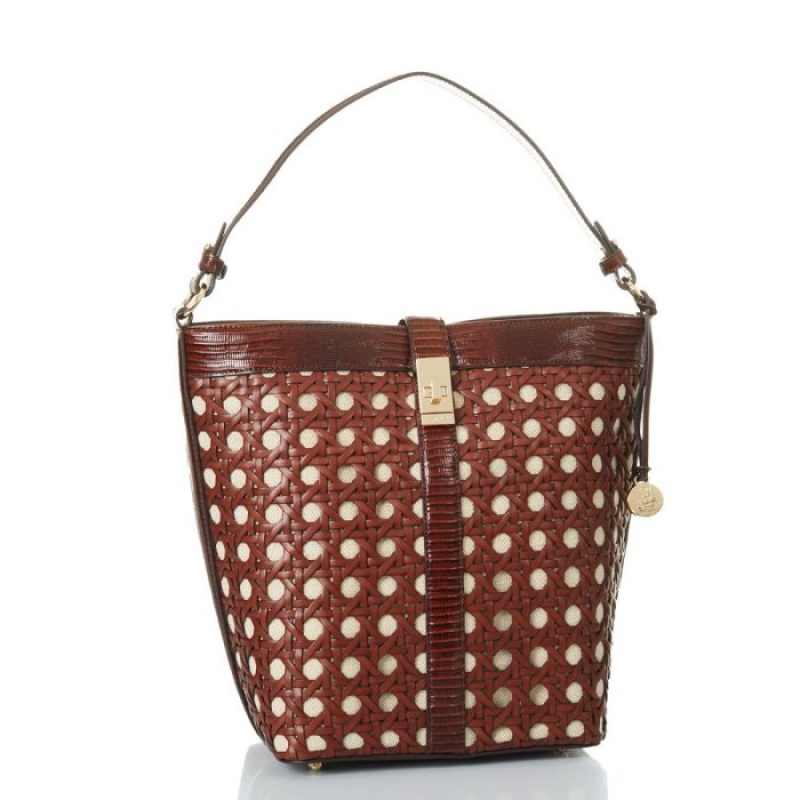 Women's Brahmin Shira Bucket Bags Brown | DZQB8513