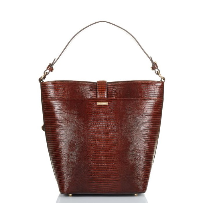 Women's Brahmin Shira Bucket Bags Brown | DZQB8513