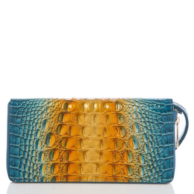 Women's Brahmin Skyler Wallets Bermuda Ombre Melbourne | WXNC7856