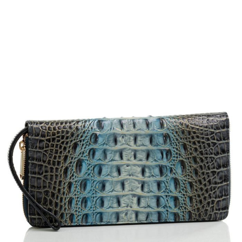 Women's Brahmin Skyler Wallets Grey | QQFW9422