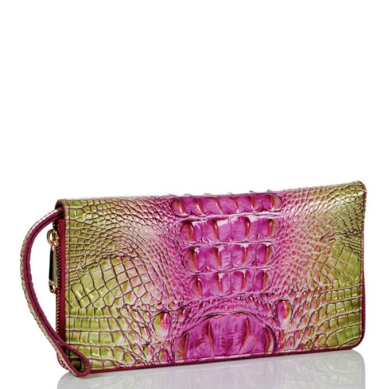 Women's Brahmin Skyler Wallets Limeade Ombre Melbourne | HPNS0880