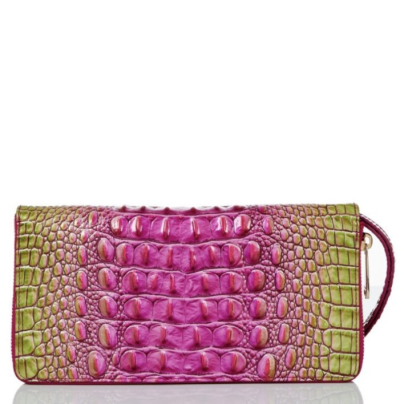 Women's Brahmin Skyler Wallets Limeade Ombre Melbourne | HPNS0880