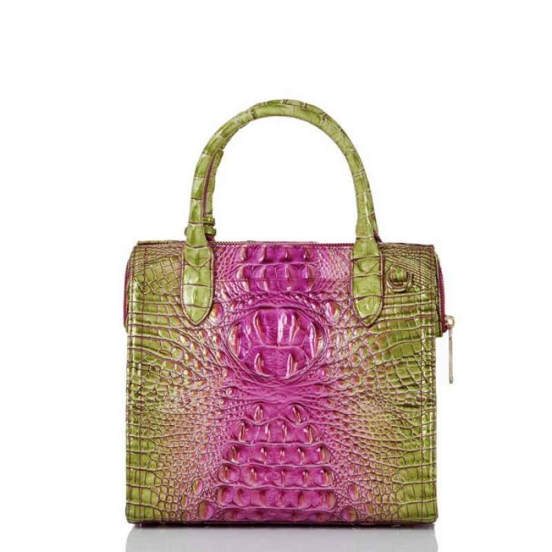 Women's Brahmin Small Caroline Satchel Bags Limeade Ombre Melbourne | IDLZ0832