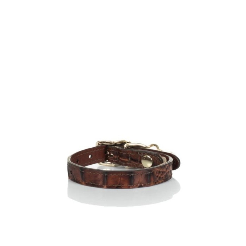 Women's Brahmin Small Pet Collar Pet Accessories Pecan Melbourne | VLPS4964