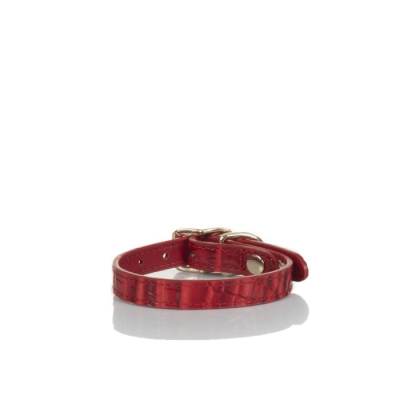 Women's Brahmin Small Pet Collar Pet Accessories Carnation Melbourne | PTCY6087