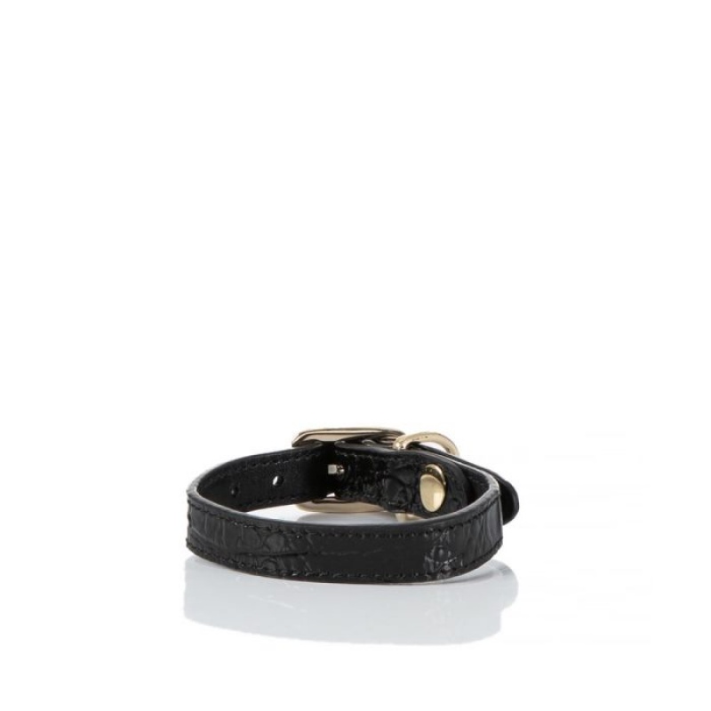 Women's Brahmin Small Pet Collar Pet Accessories Black | LTKE8418