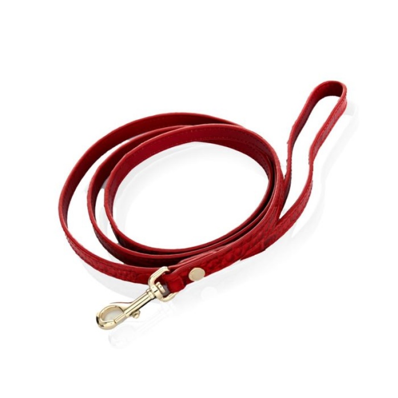 Women's Brahmin Small Pet Leash Pet Accessories Carnation Melbourne | STLI6388