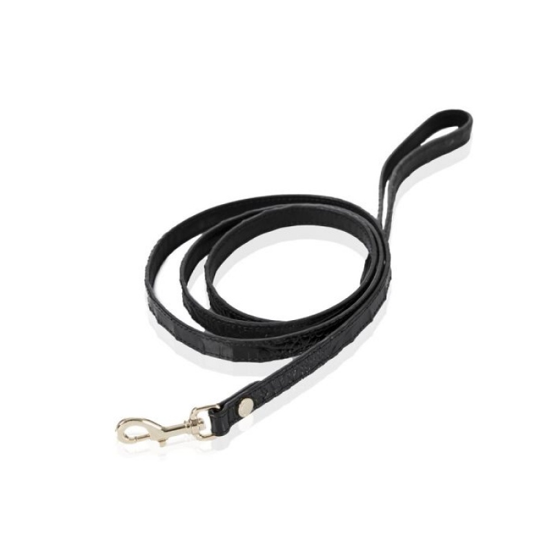 Women's Brahmin Small Pet Leash Pet Accessories Black | HVIP7885