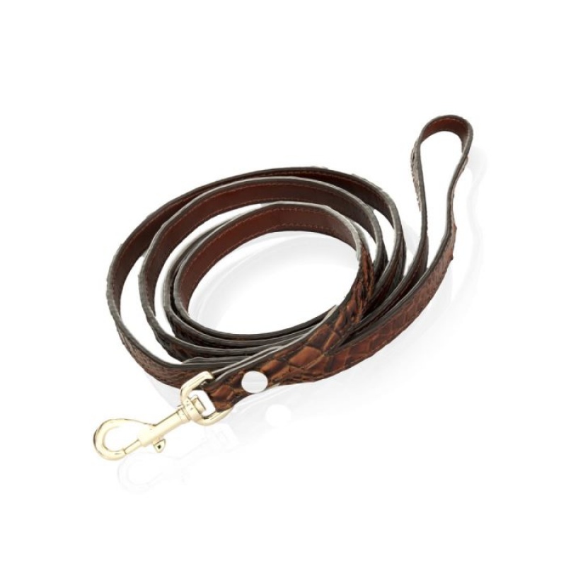 Women's Brahmin Small Pet Leash Pet Accessories Pecan Melbourne | JVAC1188