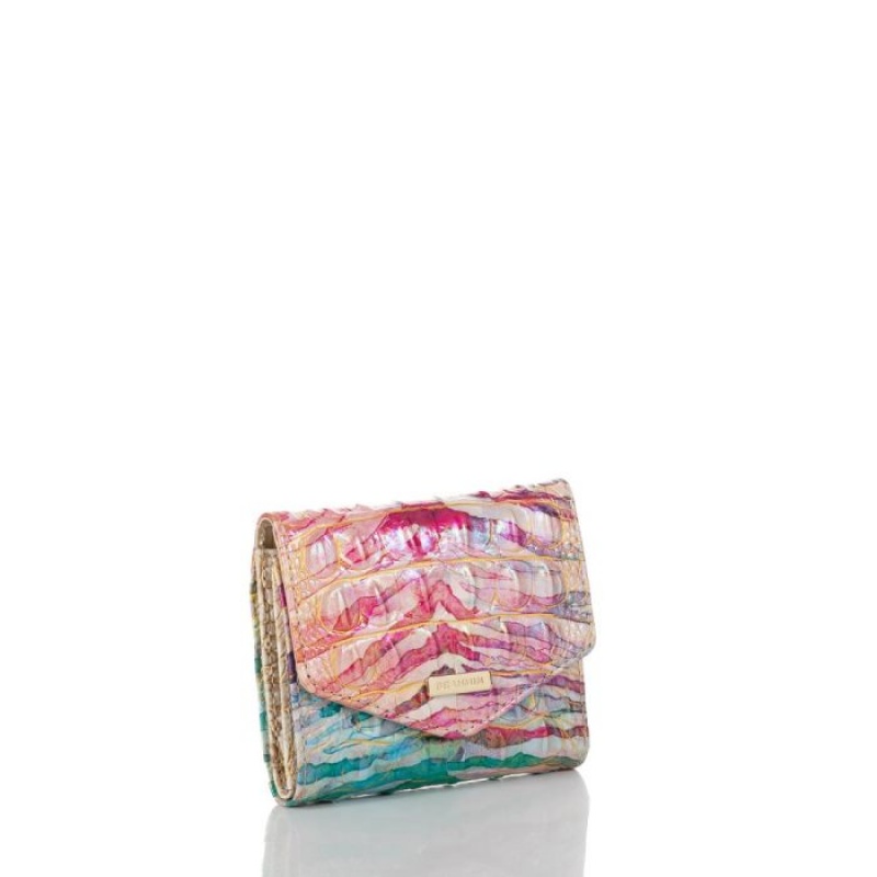 Women's Brahmin Small Veronica Wallets Entice Ombre Melbourne | DDEM0847