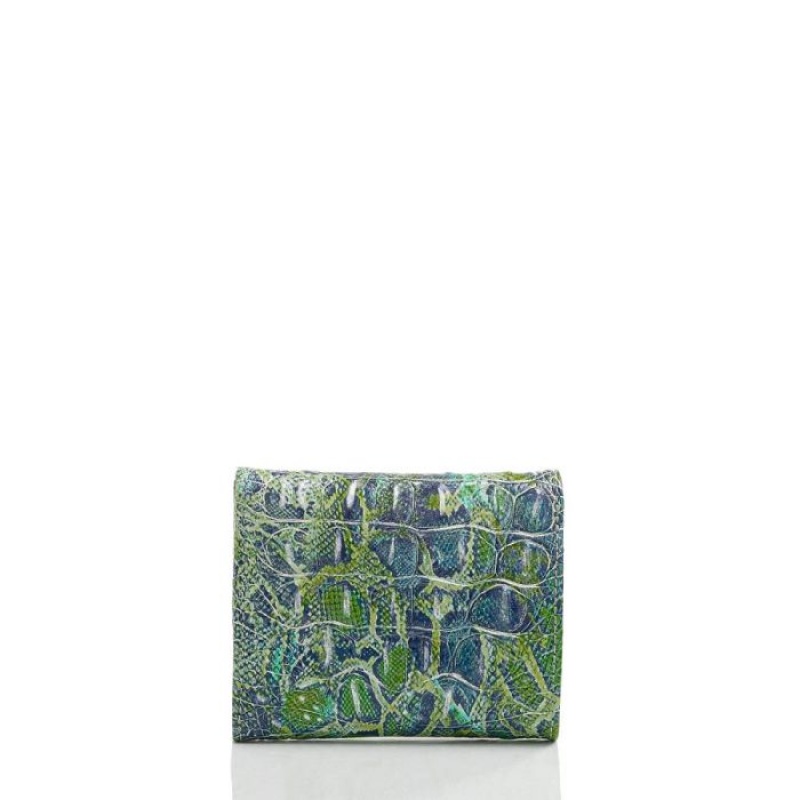 Women's Brahmin Small Veronica Wallets Green | CVLH8016